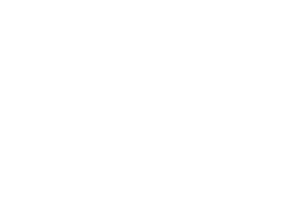 acnur-logo-vertical
